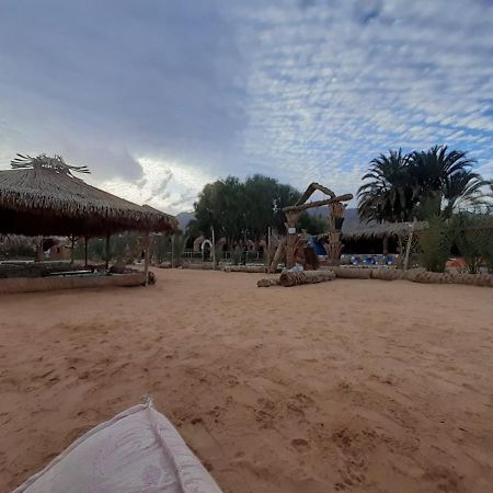 Nuweiba` Sababa Beach Camp Bed & Breakfast エクステリア 写真