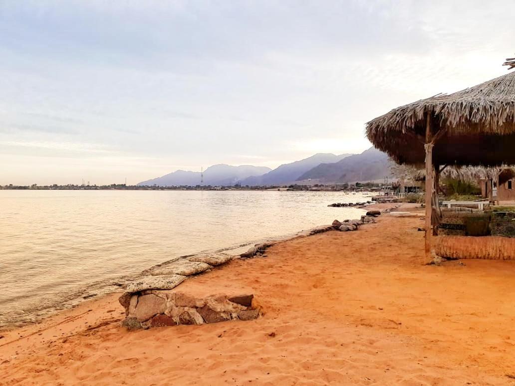 Nuweiba` Sababa Beach Camp Bed & Breakfast エクステリア 写真